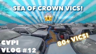 CVPI Vlog #12 - SEA OF CROWN VICS!