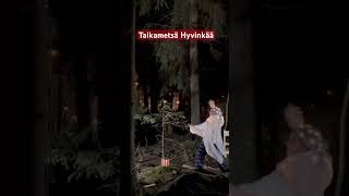 Taikametsä Hyvinkää