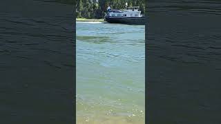 Das #schiff Spintore mit dem Bak Spintore 2  auf Bergfahrt auf dem #rhein Teil2#short  #shorts