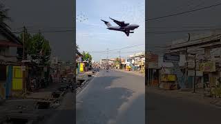 beringin jambi #trandding #viral #viralvideo #viralshorts