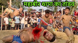 हाथी पहलवान का शिर कुचल दिया महाबीर थापा | mahabir thapa ki new kushti dangal