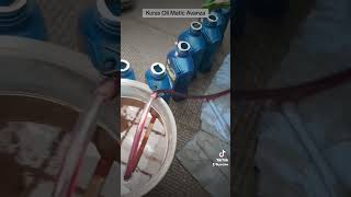 DIY Flushing Oli Matic Avanza