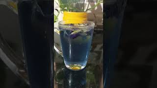 Butterfly pea Flower Tea Benefits #శంకు పువ్వు Tea #Healthy Blue Pea Tea @Anusharamcherukuri