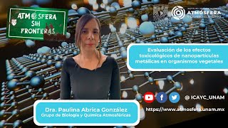 Evaluación de los efectos toxicológicos de nanopartículas metálicas en organismos vegetales