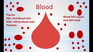 The Circulatory system Part 1 The Blood