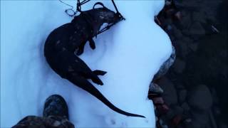 Otter Catch In A Bucket Set & Firewood