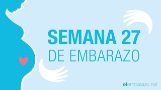 Semana 27 de embarazo | 27 semanas de embarazo | El embarazo semana a semana