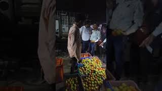 Tomato Nashik Market -: 3/09/2024 -: