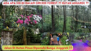 ORCHID FOREST WISATA BANDUNG YANG LAGI POPULER