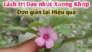 cách trị Đau nhức Xương Khớp Đơn giản lại Hiệu quả. PHAN HẢI