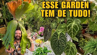 VÍCIO EM PLANTAS ? VENHA SE TRATAR NESSA FLORICULTURA - jardim