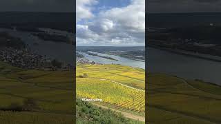 #shorts #rüdesheim #beautiful #historicalplace #wineyard