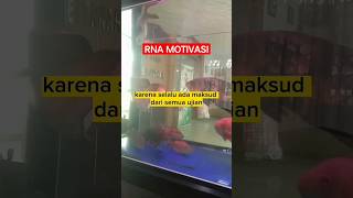 KARENA SELALU ADA MAKSUD DARI SEMUA UJIAN #shorts