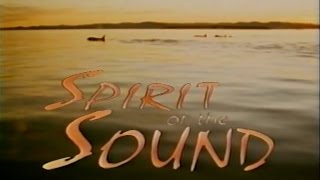 Spirit of the Sound (1993)