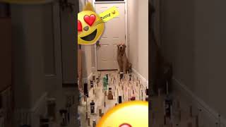 ببلاش كذا تلعب فيها #explore #tiktok #السعودية #funny #youtubeshorts