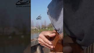 سه تار نوازی هاتف ملکشاهی در قایق