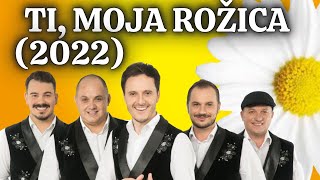 Modrijani - Ti, moja rožica (2022) 🔥#SLOVENSKE PESMI🔥  #modrijani