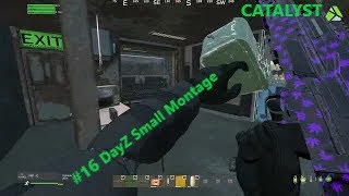 Dayz small montage #16