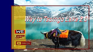 Way to Tsongmo Lake |Going Changu Lake from Gangtok #tsomgolake #tsomgo #gangtok