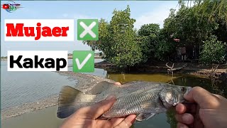 Niat Mancing Mujaer Malah Dapat Kakap||BERKAH RAMADHAN