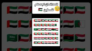 اتحداك ان تجد علم فلسطين 🧐!#shorts #youtubeshorts #subscribe #فلسطين #explore