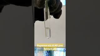 Magnesium with HCl #shorts ##shortvideo #yourubeshorts #youtube