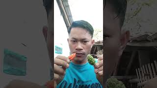 #shorts Makan buah cengkudu pake cabe rawit