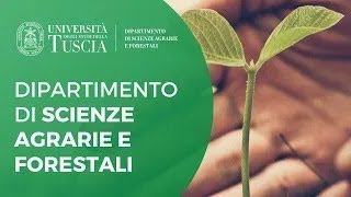 🎓 DIPARTIMENTO DI SCIENZE AGRARIE E FORESTALI