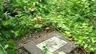 BENJAMIN TAMBAJONG 's Grave at Pondang, Amurang