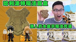 【盲盒合集】试玩哈利波特魔法盲盒，滴入药水显示魔法咒语，还有伏地魔隐藏款【鹿子也的玩具屋】