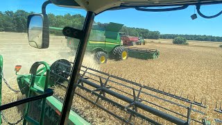 First day of wheat harvest