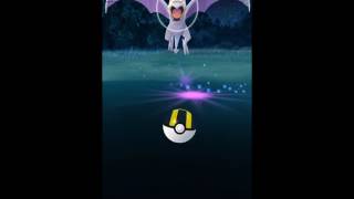 Pokeom Go Capturing techniuqe capturining Aerodactyl