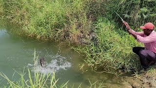 unique Fishing 🎣 Small Hook Big size Fishes to Catching