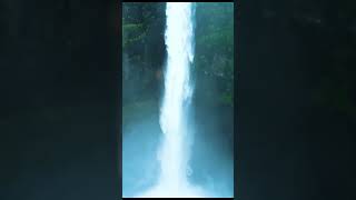 Kumbhe Waterfall #shorts #viral #youtube #youtubeshorts #viralshorts #viralvideo