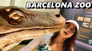 BARCELONA ZOO (2022) 🇪🇸