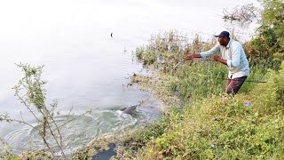 Fish Hunting 🎣 in Krishna River To Catching Big Rohu Fish Fishing