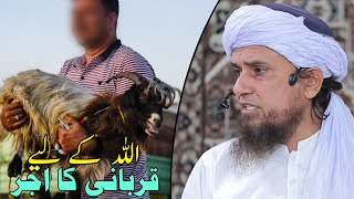 Allah Ke Liye Qurbani Ka Ajar | Mufti Tariq Masood | Islamic Deeniyat |