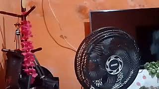 (98escrito especial do meu canal) o ventilador de coluna Arno✌️✌️✌️✌️✌️