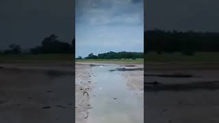 Veja como esta a Amazônia antes e agora