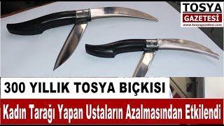 Kadın Tarağı Yapan Ustaların Azalması 300 Yıllık Tosya Bıçkısını Etkiledi.