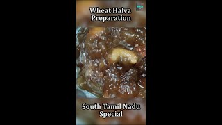 Wheat Halwa || South Tamil Nadu Special #Shorts #WheatHalwa #Sweet