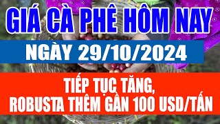 Giá cà phê hôm nay 29/10: tiếp tục tăng, Robusta thêm gần 100 USD/tấn