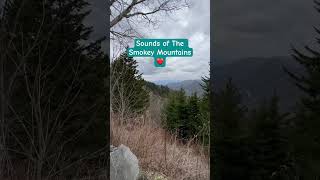 Sounds of The Smokies❤️. TN calling. #shortvideo #shortsfeed #tennessee #smokiemountains #shorts