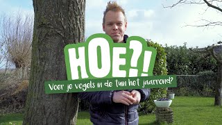 Hoe voer je vogels in de tuin jaarrond? | HOE?! | Welkoop