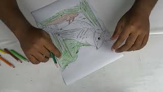 Akta jhutkuli pakhir sobi art kore color korlam color pencil die | Mojibor Art