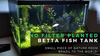 20 L Betta Fish Tank  CO2 Tablets - NO FILTER