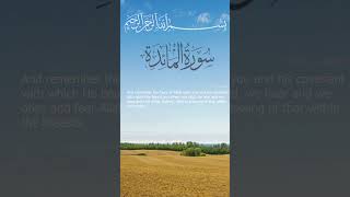 Surah Al-Ma'idah Mishary bin Rashid Alafasy I Ayah 07-08