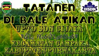 TATANEN DI BALE ATIKAN (UPTD SDN CIJAYA KECAMATAN CAMPAKA KABUPATEN PURWAKARTA)