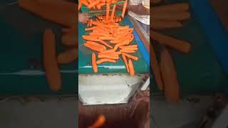 carrot factory ooty