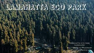 LAMAHATTA ECO PARK DARJEELING #dji #darjeelingdiaries #darjeeling #mini2 #droneshots#newvideo #viral